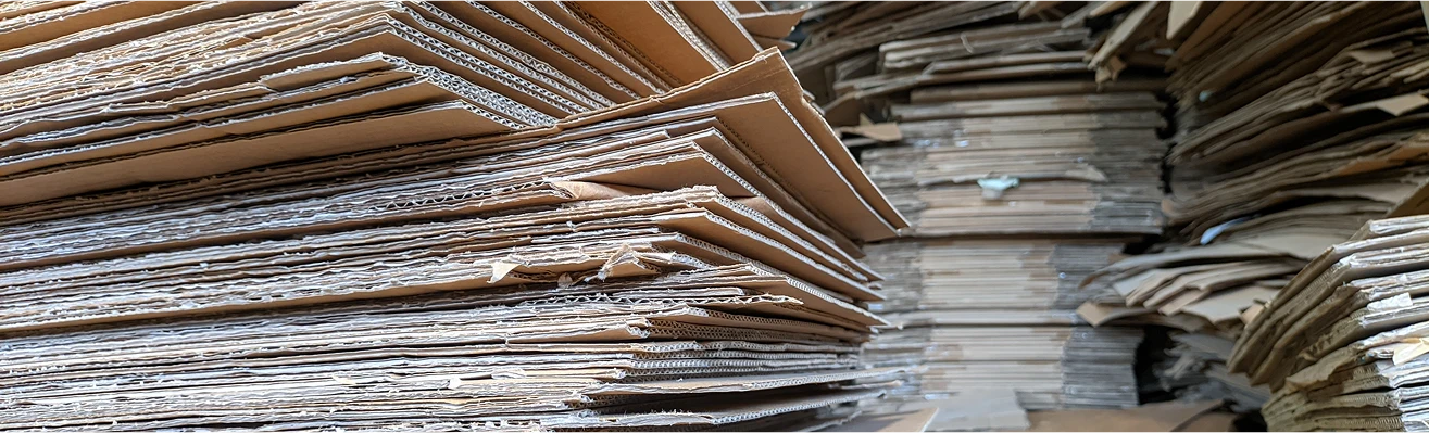 Carton Boxes